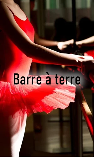 Barre a terre Home